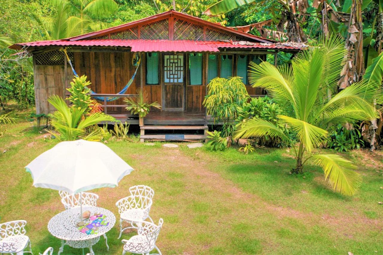 Ocean Forest Ecolodge San Pedrillo 外观 照片