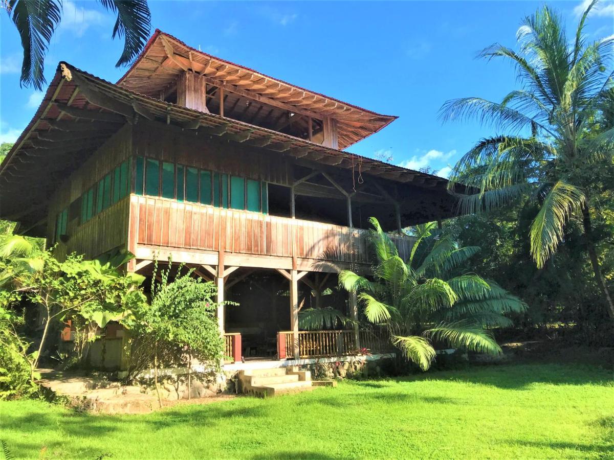 Ocean Forest Ecolodge San Pedrillo 外观 照片