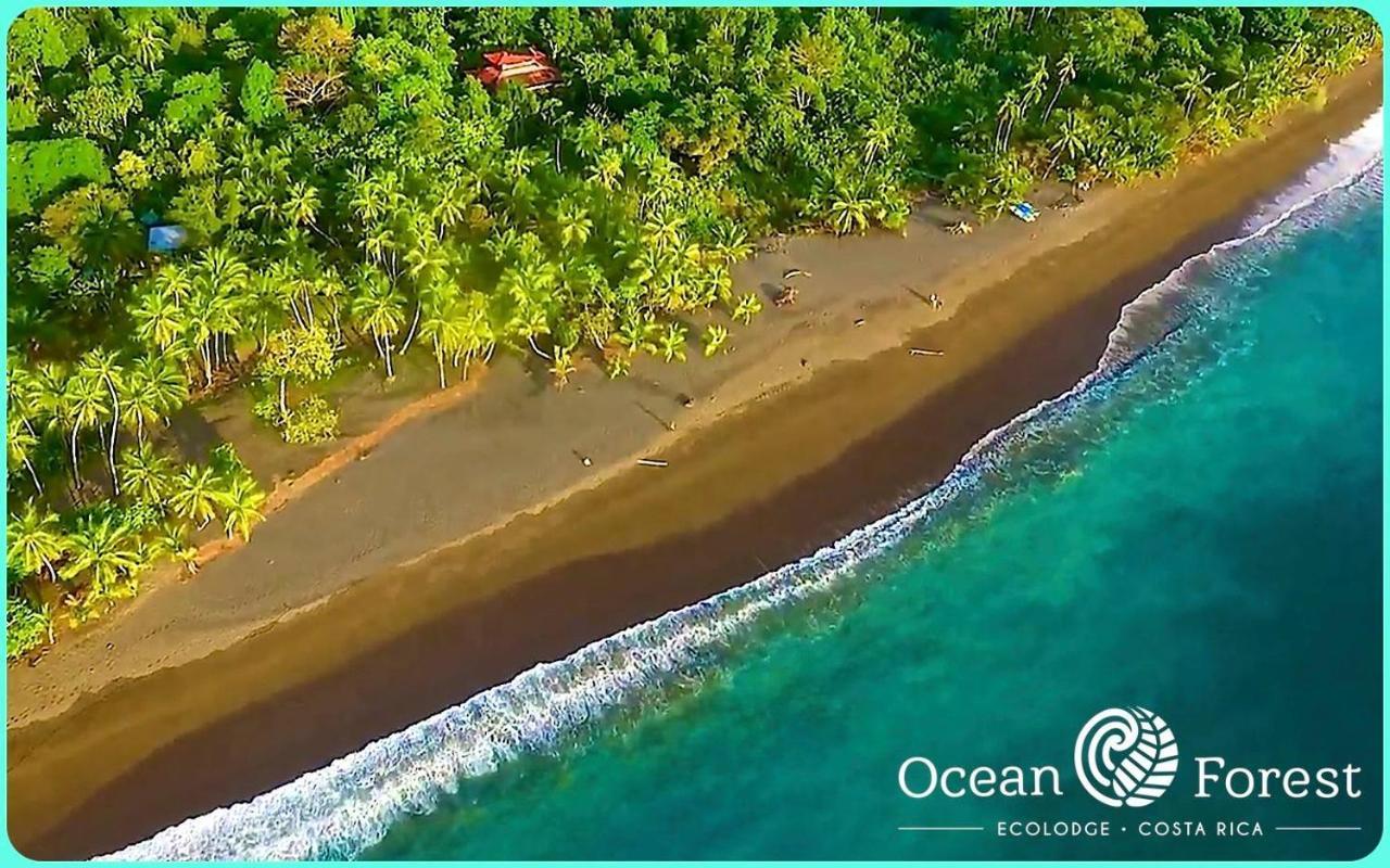 Ocean Forest Ecolodge San Pedrillo 外观 照片