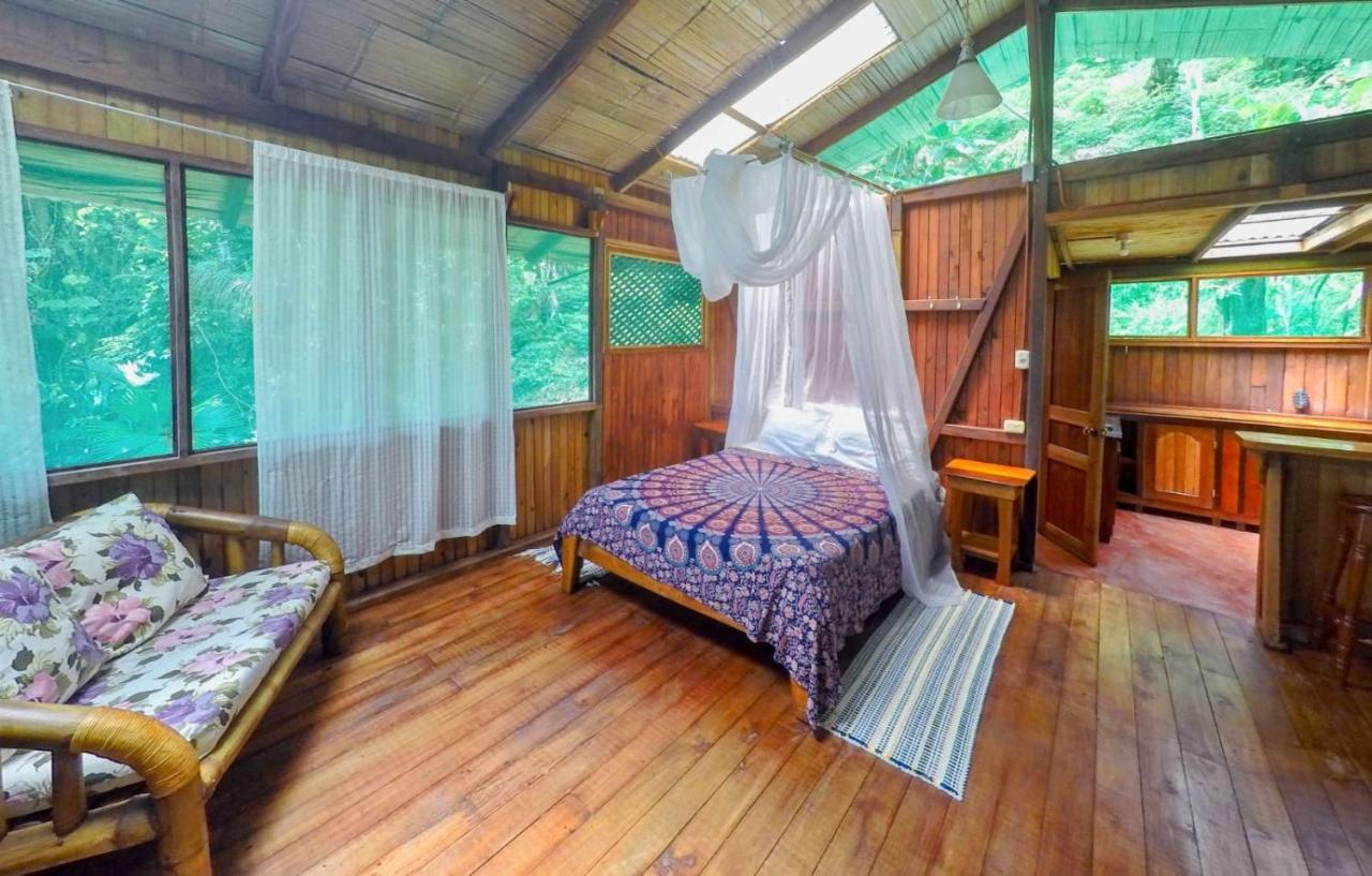 Ocean Forest Ecolodge San Pedrillo 外观 照片