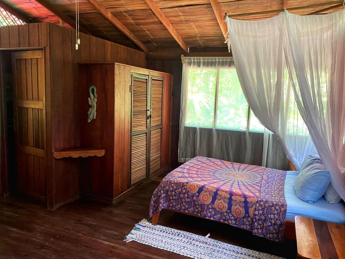 Ocean Forest Ecolodge San Pedrillo 外观 照片
