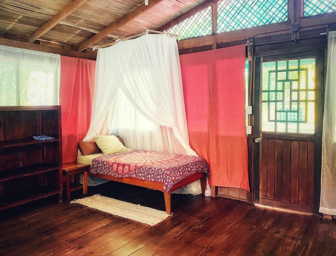 Ocean Forest Ecolodge San Pedrillo 外观 照片
