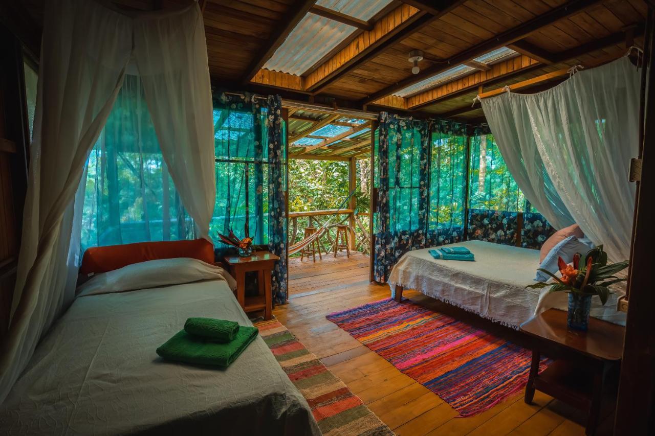 Ocean Forest Ecolodge San Pedrillo 外观 照片