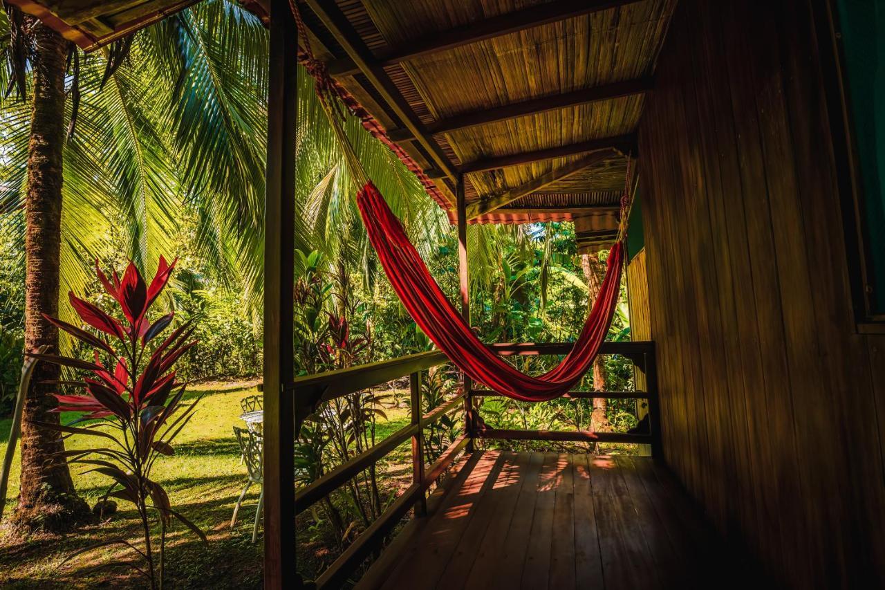 Ocean Forest Ecolodge San Pedrillo 外观 照片
