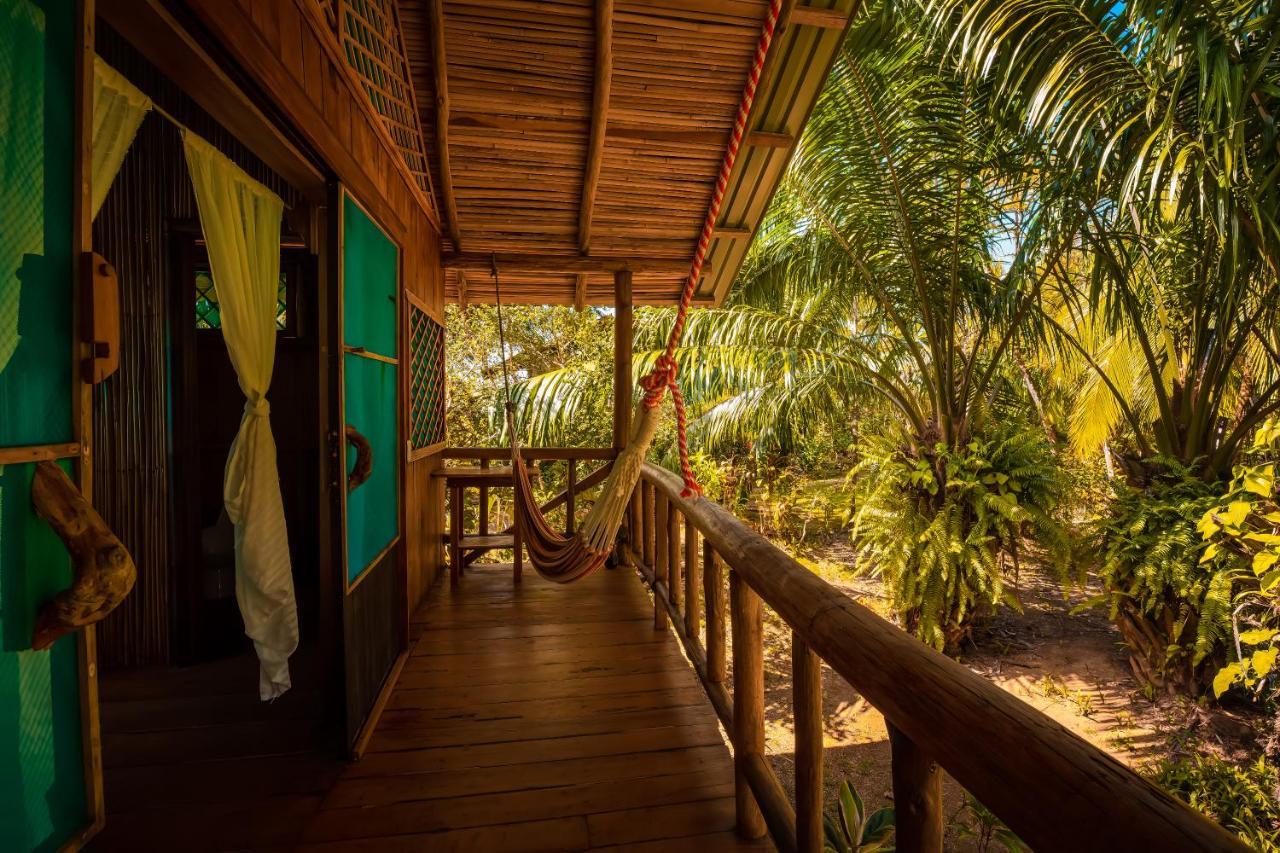 Ocean Forest Ecolodge San Pedrillo 外观 照片