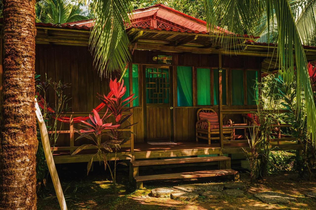 Ocean Forest Ecolodge San Pedrillo 外观 照片