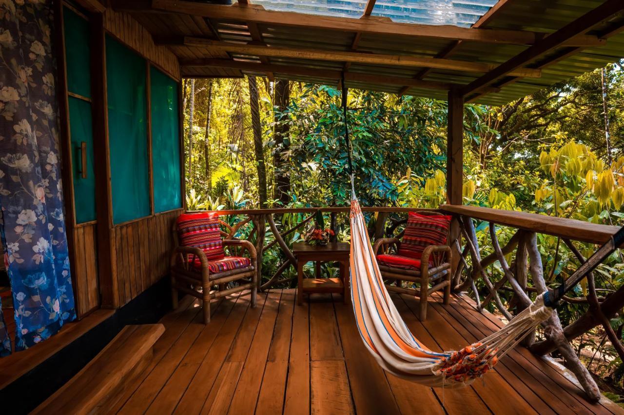 Ocean Forest Ecolodge San Pedrillo 外观 照片