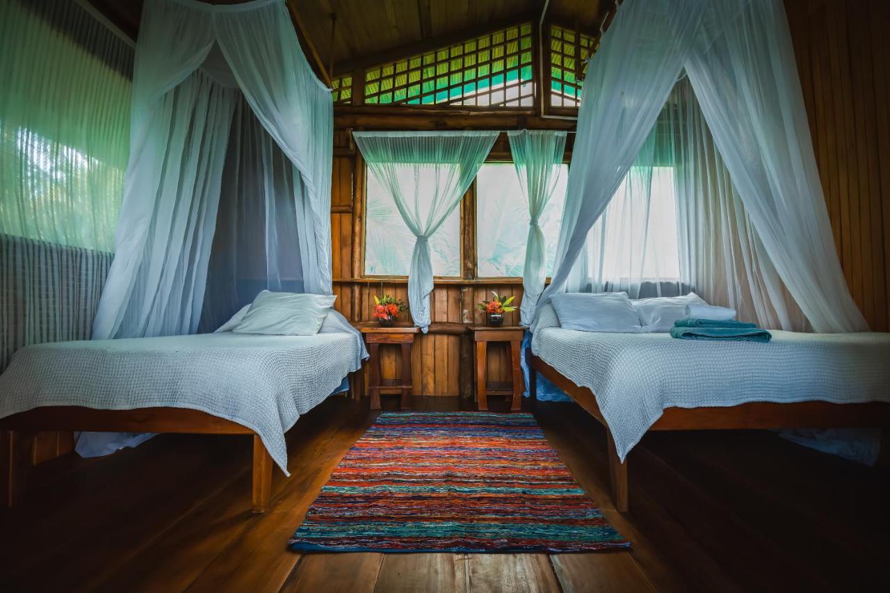 Ocean Forest Ecolodge San Pedrillo 外观 照片