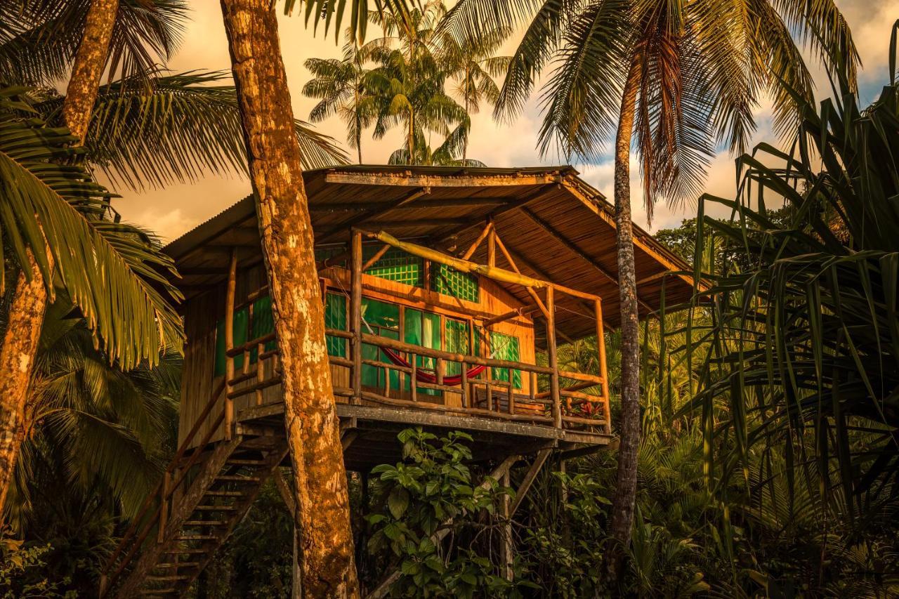 Ocean Forest Ecolodge San Pedrillo 外观 照片