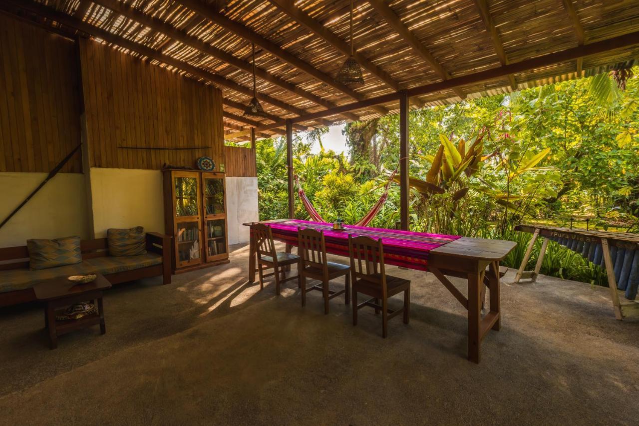 Ocean Forest Ecolodge San Pedrillo 外观 照片