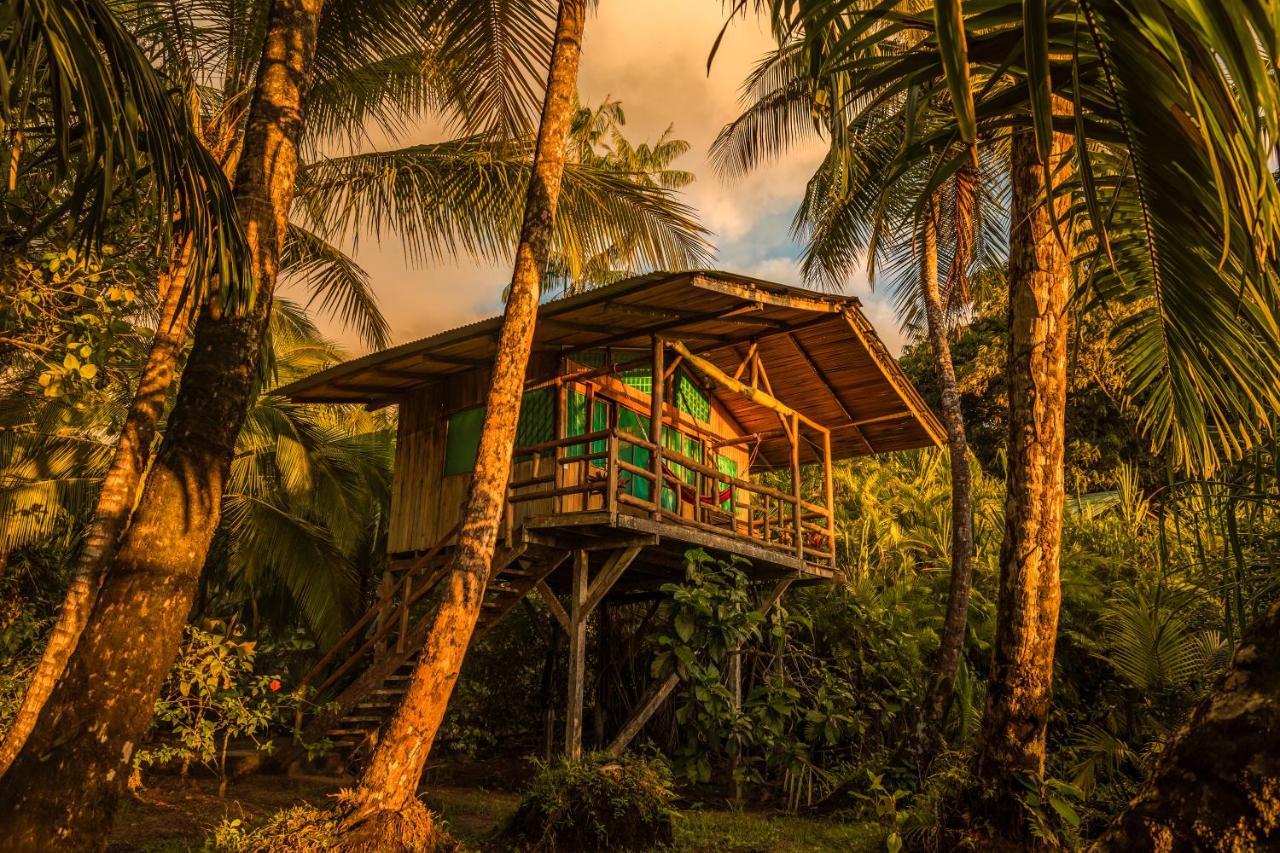 Ocean Forest Ecolodge San Pedrillo 外观 照片