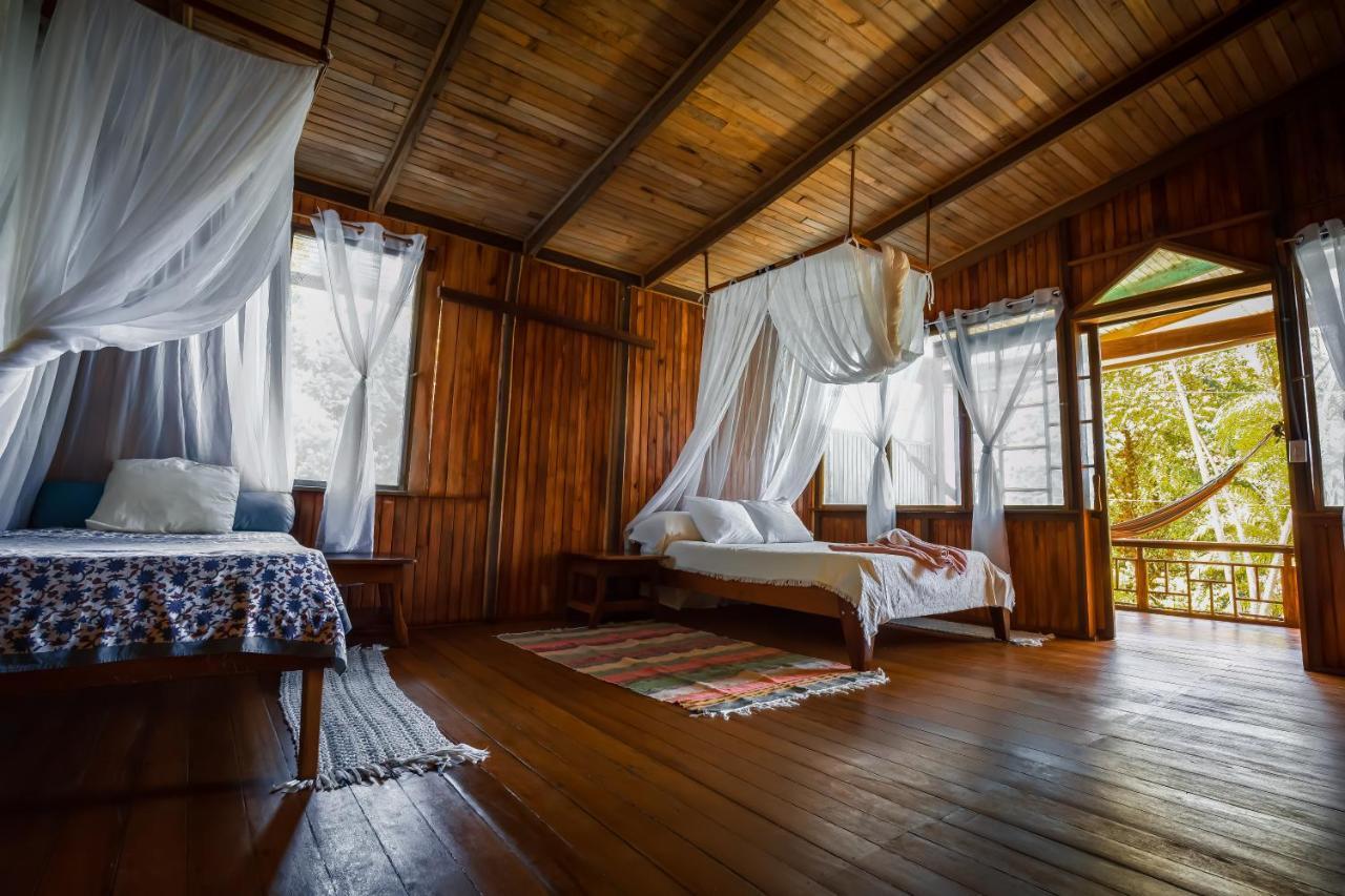 Ocean Forest Ecolodge San Pedrillo 外观 照片