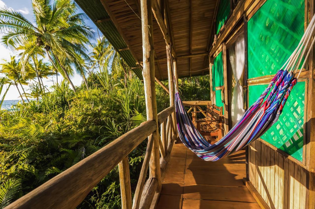 Ocean Forest Ecolodge San Pedrillo 外观 照片