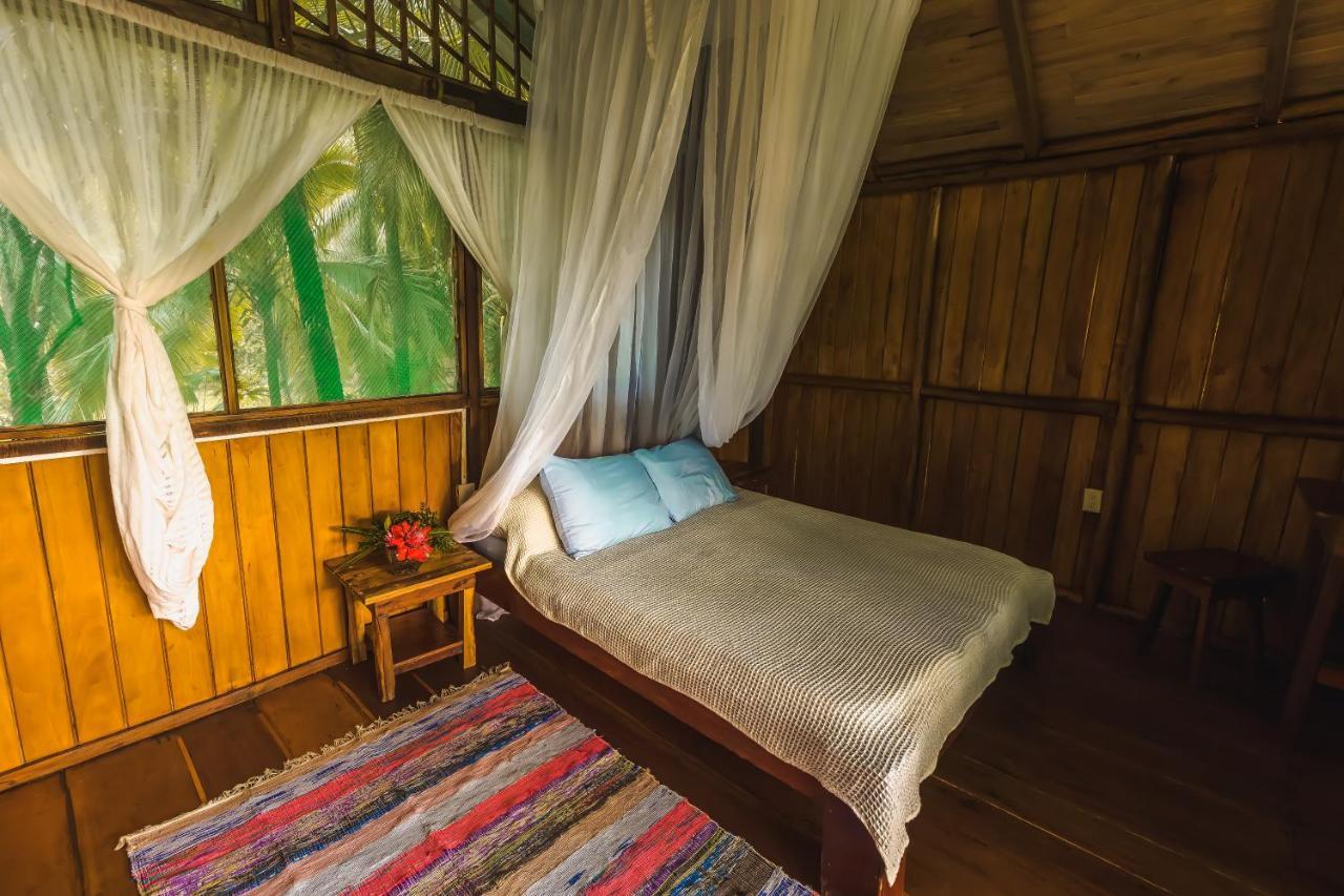 Ocean Forest Ecolodge San Pedrillo 外观 照片