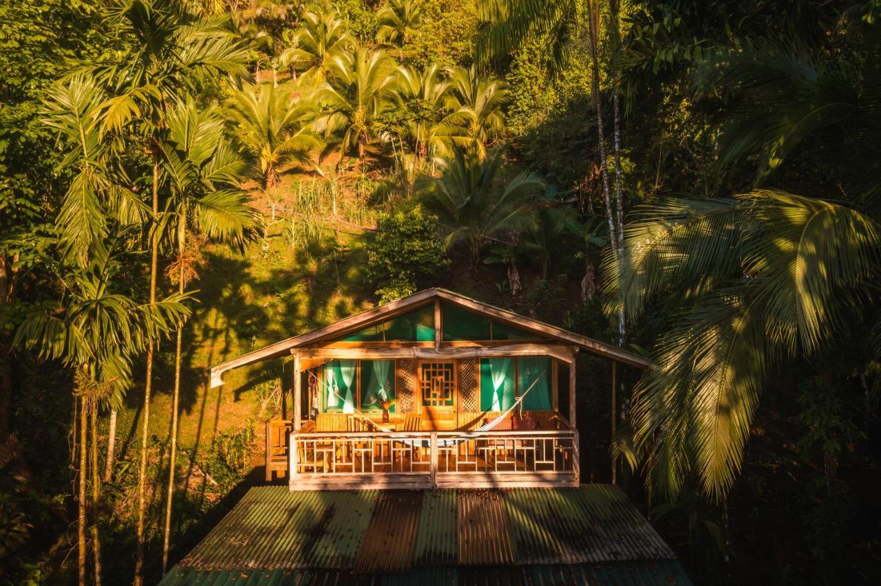 Ocean Forest Ecolodge San Pedrillo 外观 照片