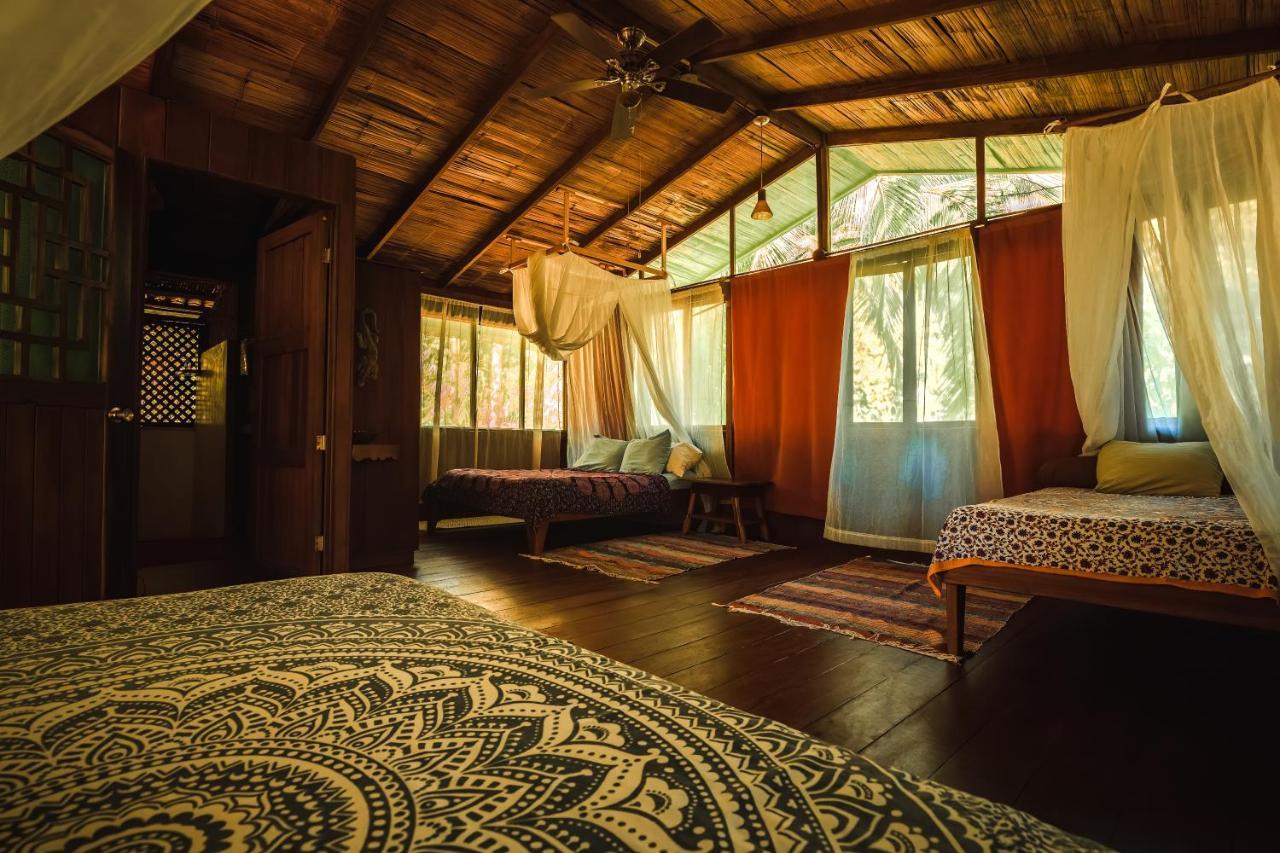Ocean Forest Ecolodge San Pedrillo 外观 照片