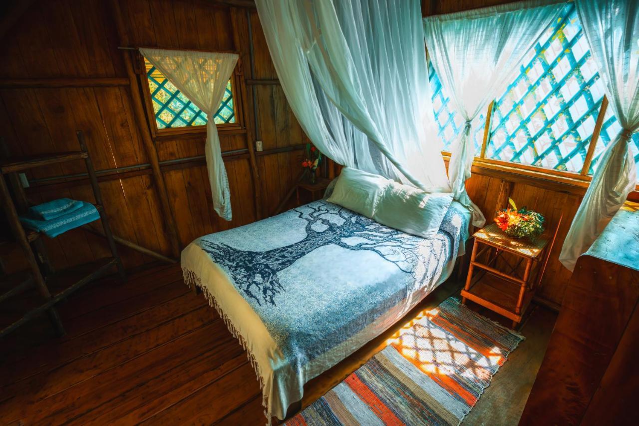 Ocean Forest Ecolodge San Pedrillo 外观 照片