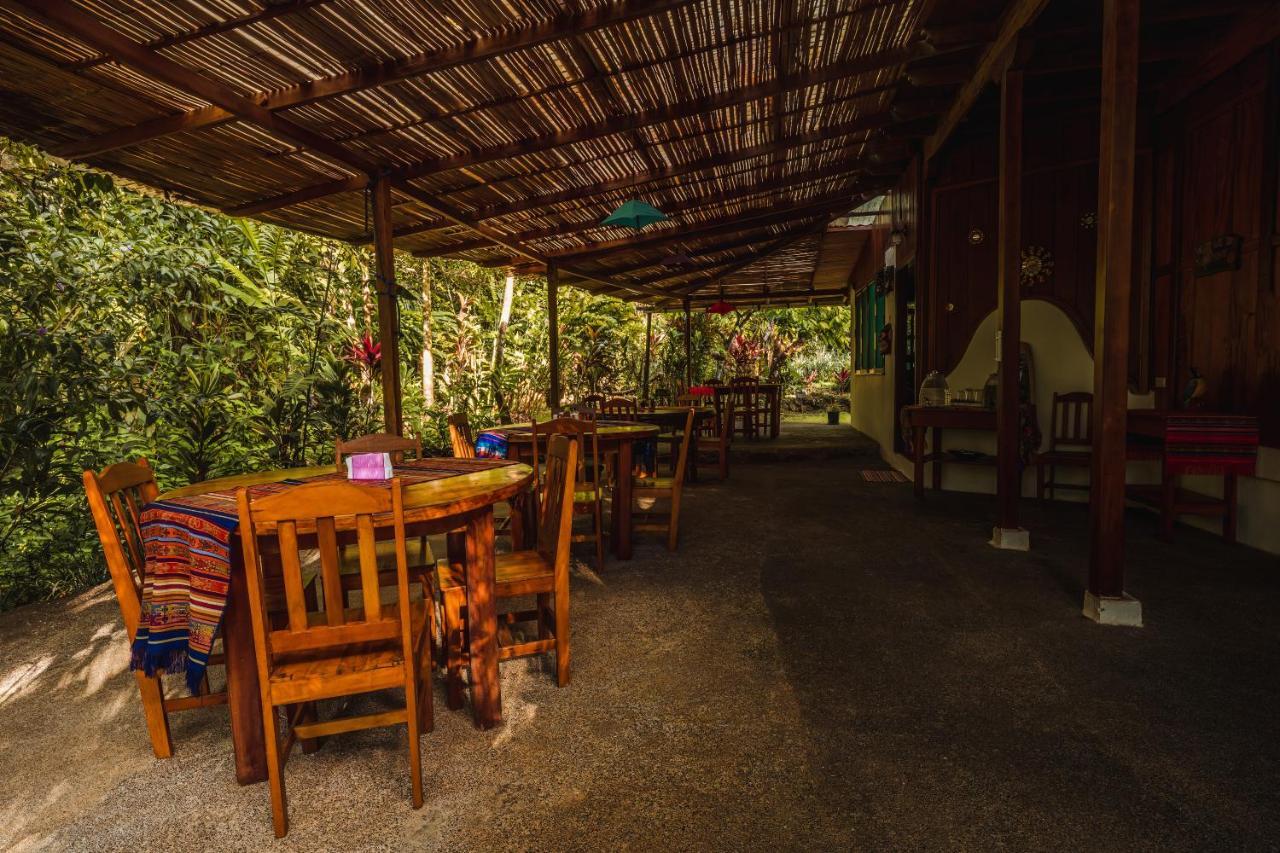 Ocean Forest Ecolodge San Pedrillo 外观 照片