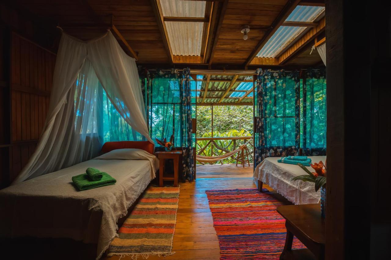 Ocean Forest Ecolodge San Pedrillo 外观 照片