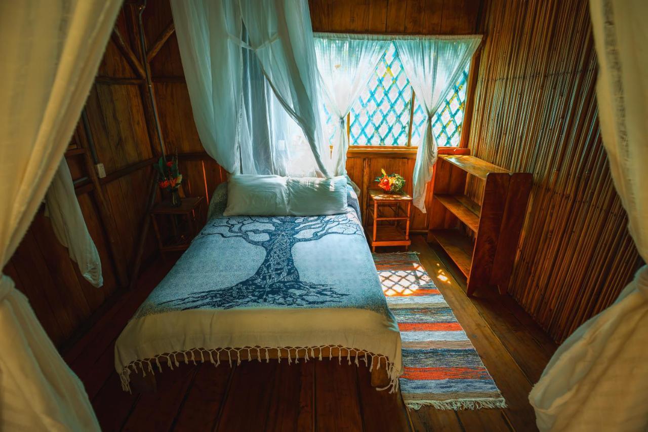Ocean Forest Ecolodge San Pedrillo 外观 照片
