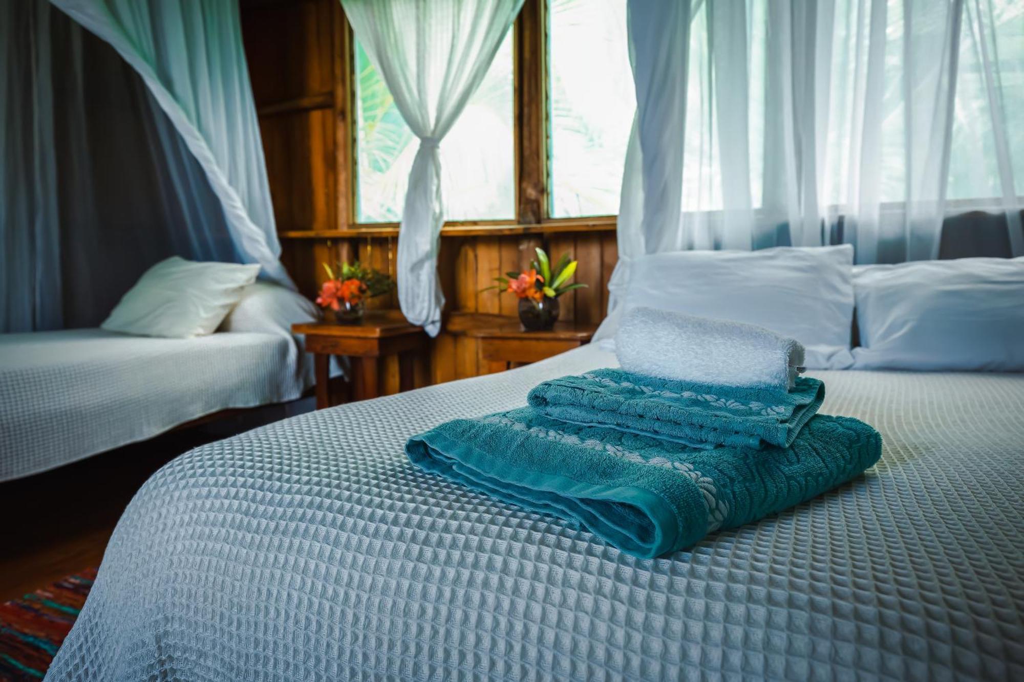 Ocean Forest Ecolodge San Pedrillo 外观 照片
