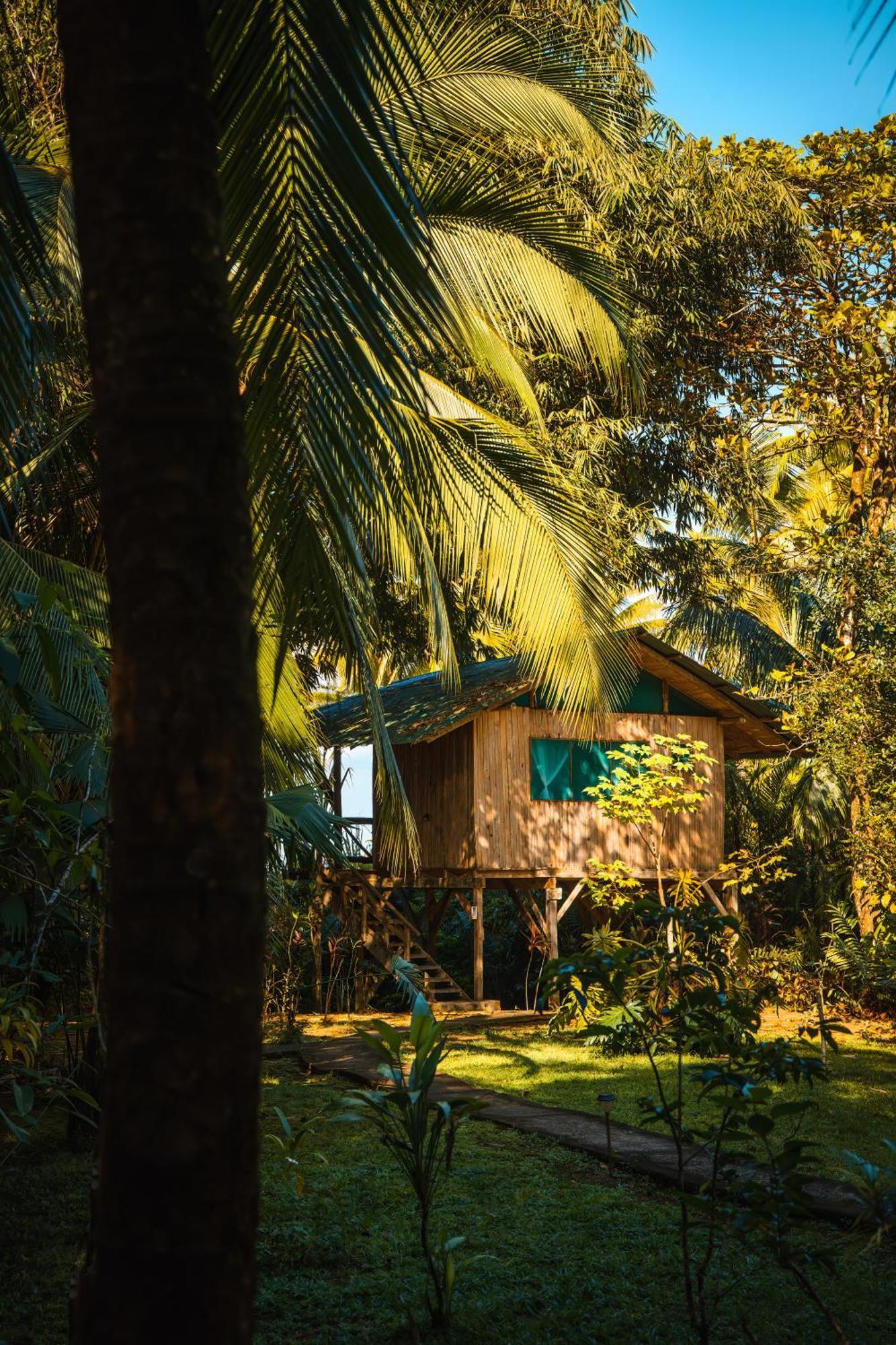 Ocean Forest Ecolodge San Pedrillo 外观 照片