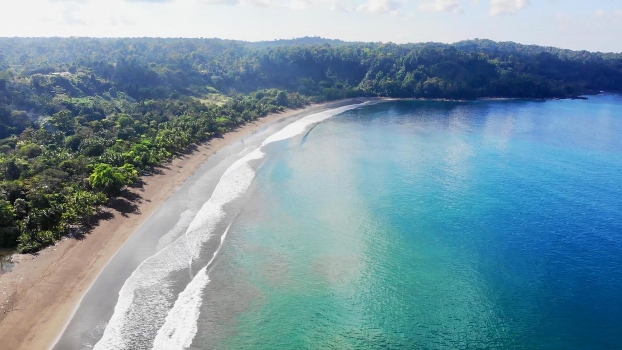 Ocean Forest Ecolodge San Pedrillo 外观 照片