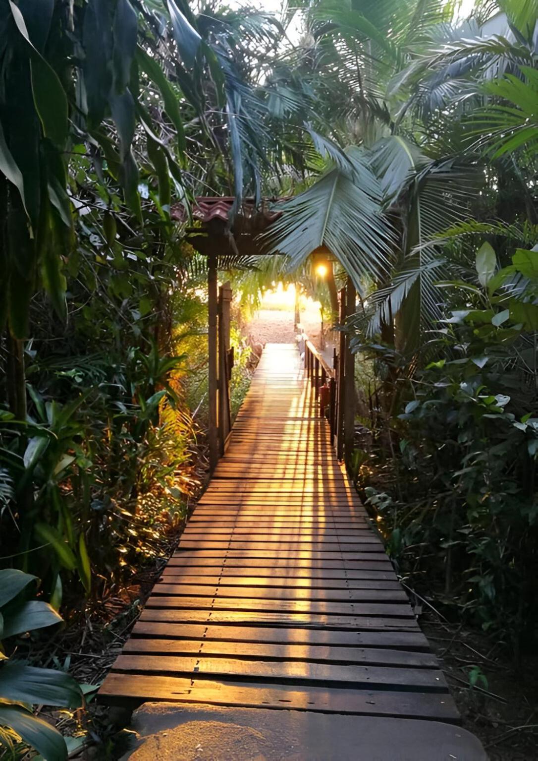 Ocean Forest Ecolodge San Pedrillo 外观 照片