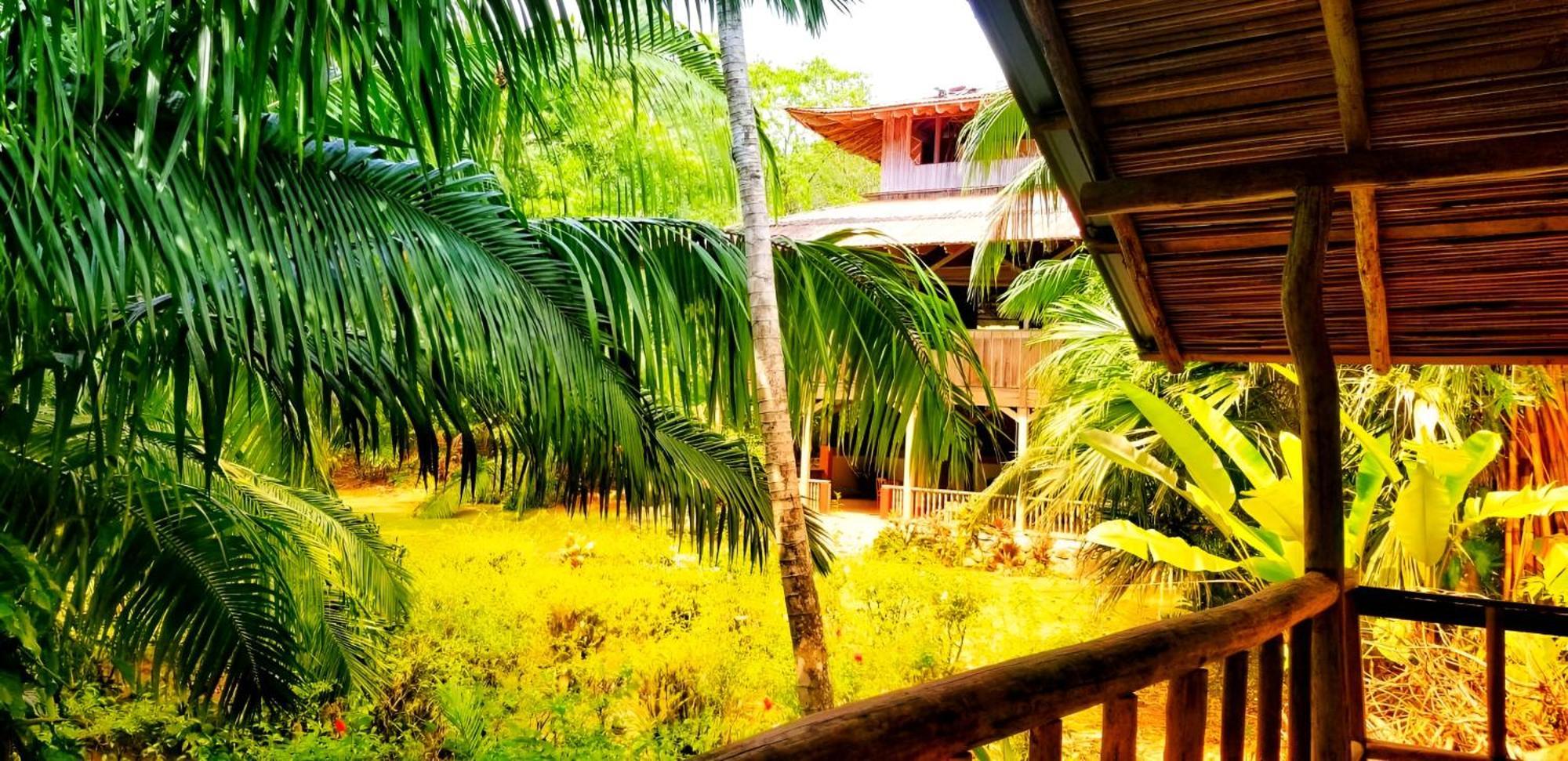 Ocean Forest Ecolodge San Pedrillo 外观 照片