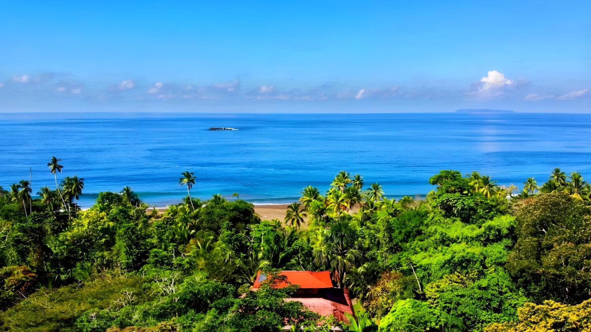 Ocean Forest Ecolodge San Pedrillo 外观 照片