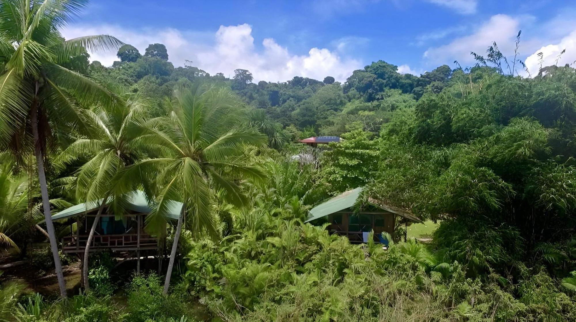 Ocean Forest Ecolodge San Pedrillo 外观 照片