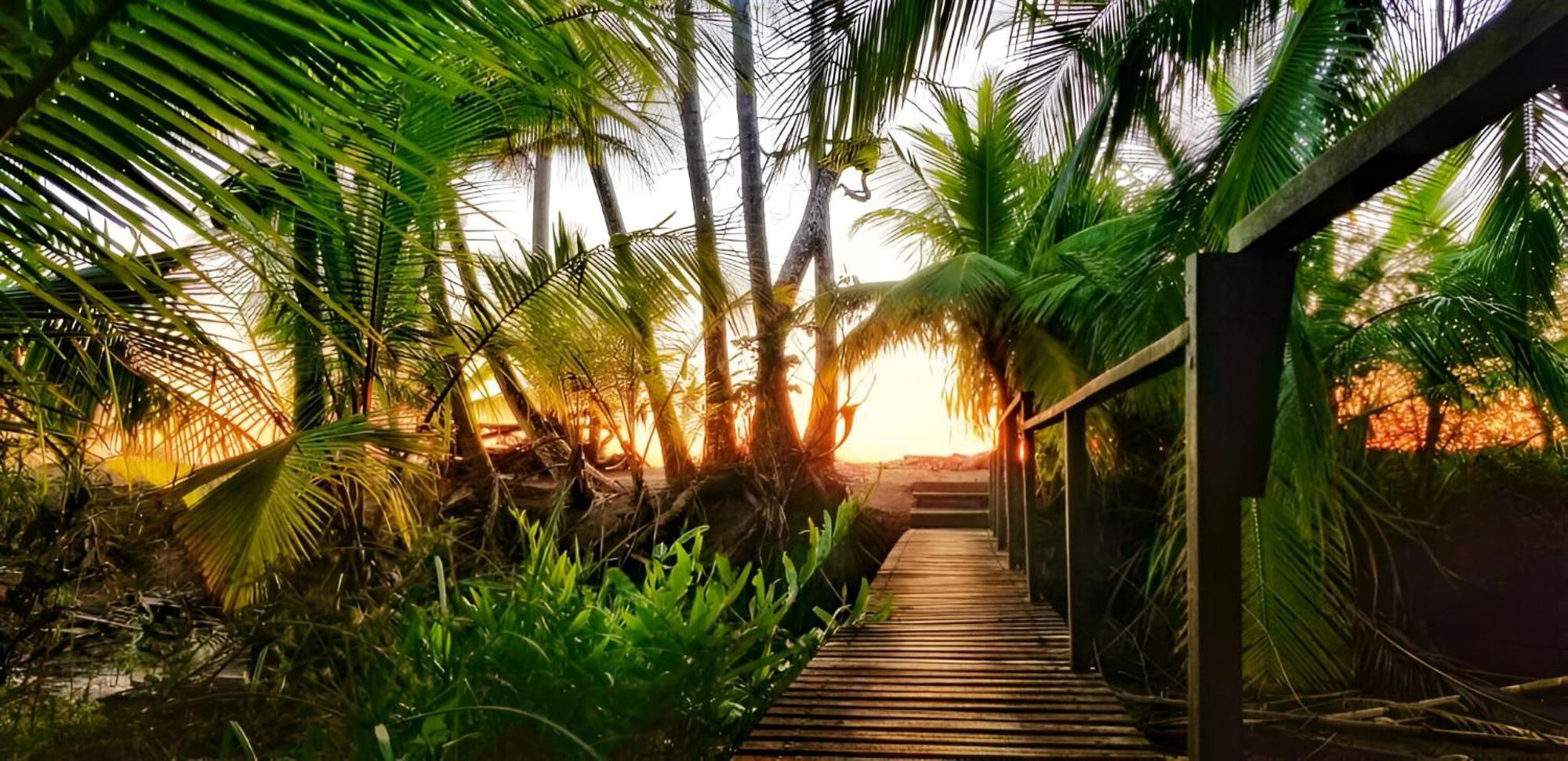 Ocean Forest Ecolodge San Pedrillo 外观 照片