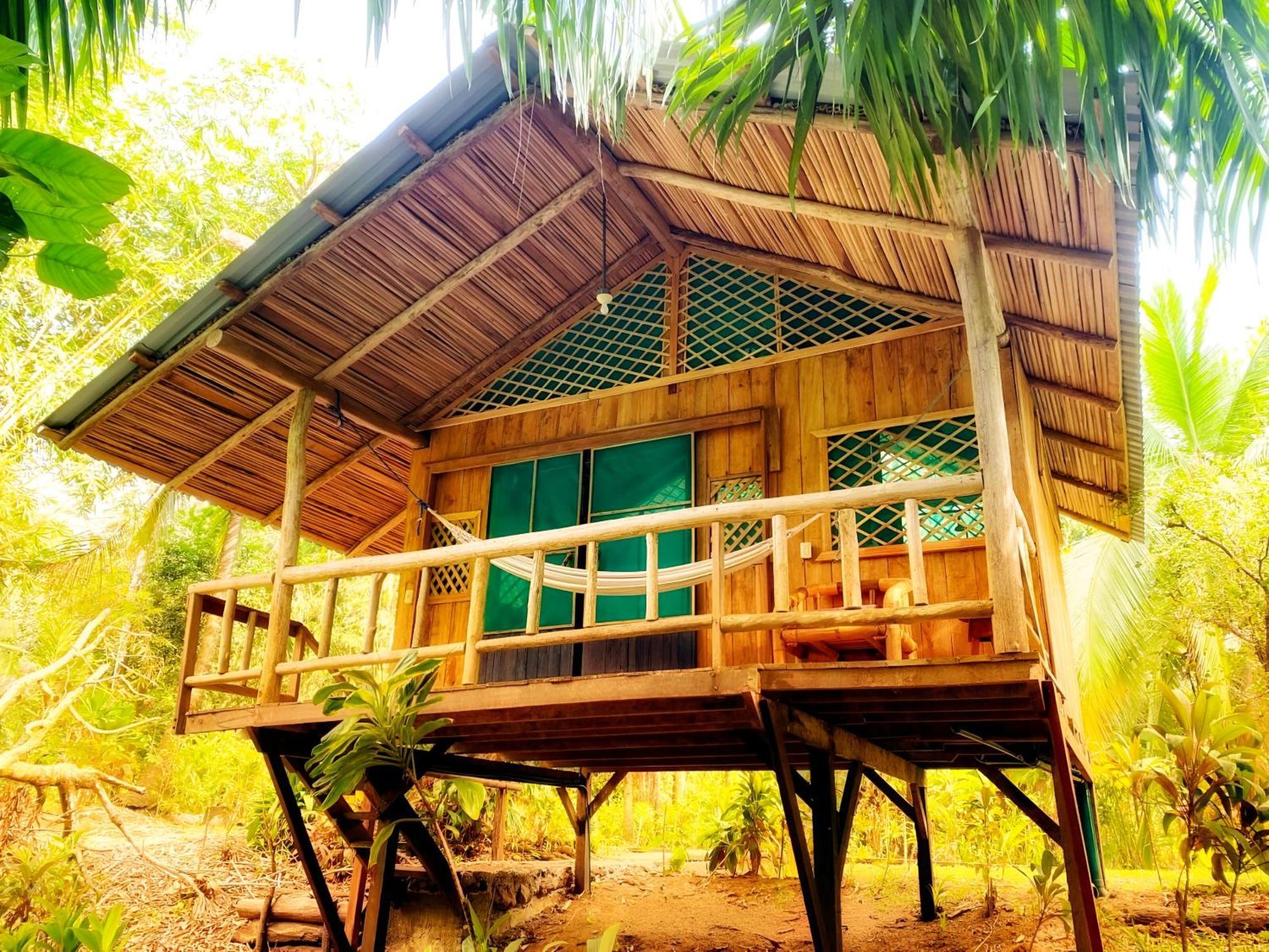 Ocean Forest Ecolodge San Pedrillo 外观 照片